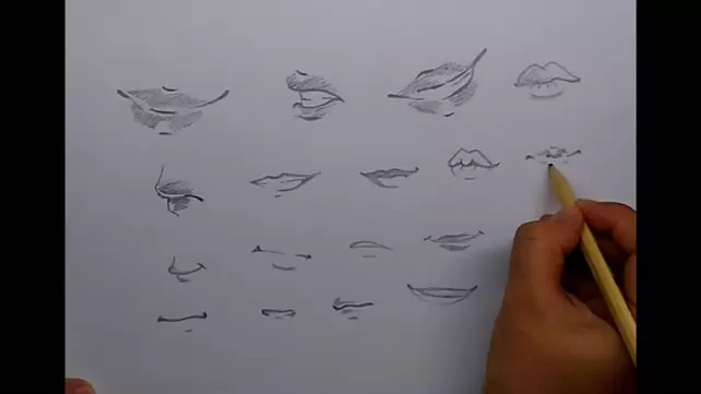 голые аниме девушки карандашом